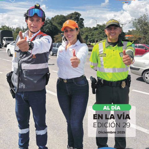 Boletín trimestral